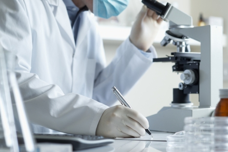 A zikavírus kutatásaira hagyott jóvá támogatást az EU