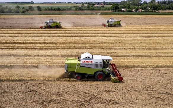 Agrometeorológia: a száraz időjárás kedvez az aratásnak