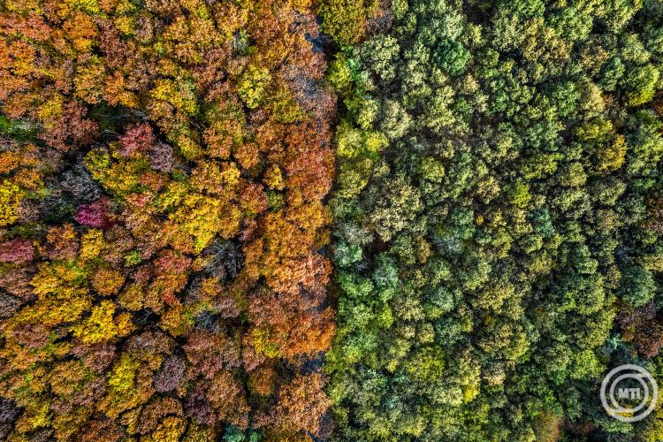 Folytatódik a nyugodt őszi idő a hétvégén is