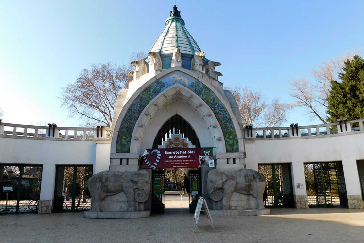 Kína ízeit és a medvék világát mutatják be a Fővárosi Állatkertben a hétvégén