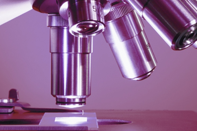 Antibiotikum-rezisztens baktériumok ellen fejlesztenek eljárást Szegeden